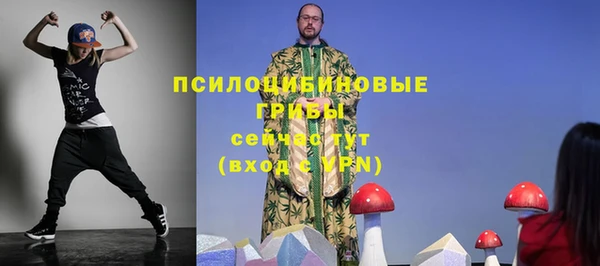 apvp Слюдянка