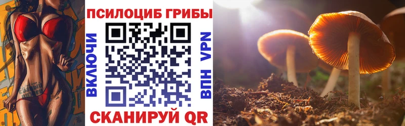Галлюциногенные грибы Psilocybe  Зубцов 